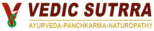 Vedic Sutra Logo