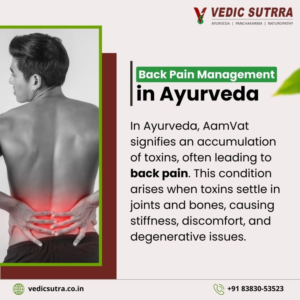Back Pain Management