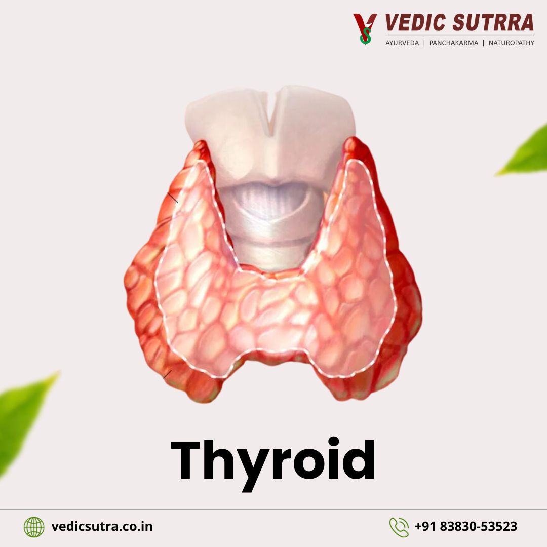 Thyroid