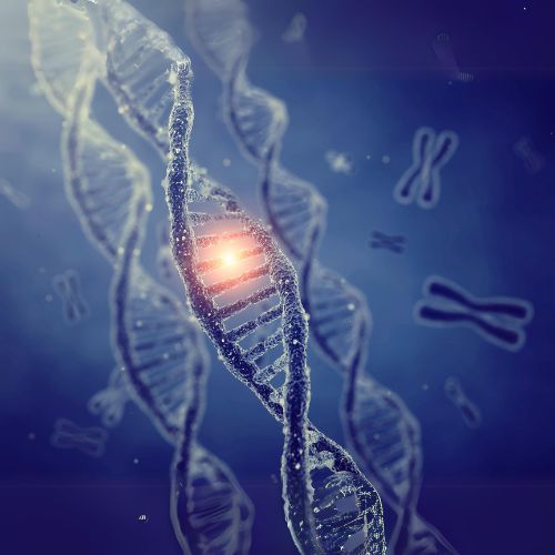 Genetic Predisposition