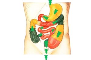 Virechana Therapy for Detoxification