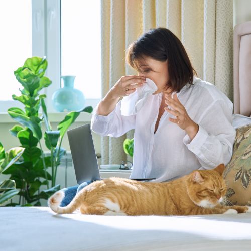Allergic Rhinitis