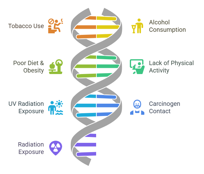 Environmental and Lifestyle Factors